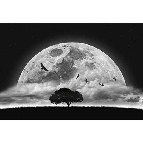 A.S. Création Fototapete - Tapete Nachthimmel Vollmond in Schwarz, Weiß und Grau - Wandtapete für verschiedene Räume - Vliestapete Wandbild XXL 384 x 260 cm