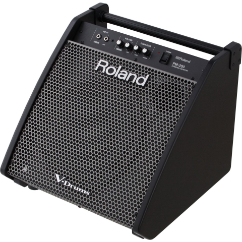 Roland PM-200 V-Drum Monitor