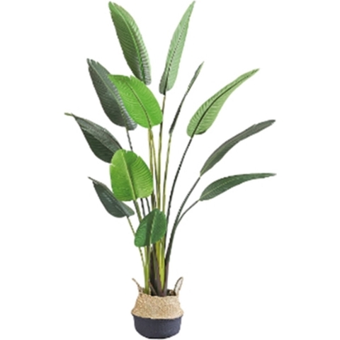Kunstpflanze Blatt Strelitzia Soft 160 cm