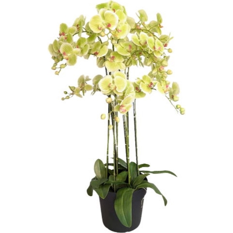 Orchidee Kunstpflanze 9-ästig 110 cm, grün