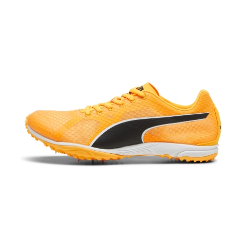 PUMA evoSPEED Haraka 8 Unisex Spikes Unisex, Schuhe, Sun Stream/Schwarz/Weiß, 39