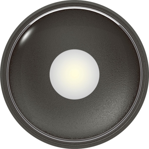 Icon Downlight Anthrazit
