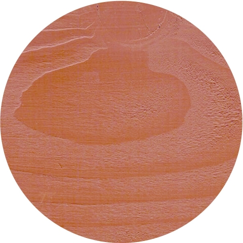 Embalan Coach Grün 2,5 Liter