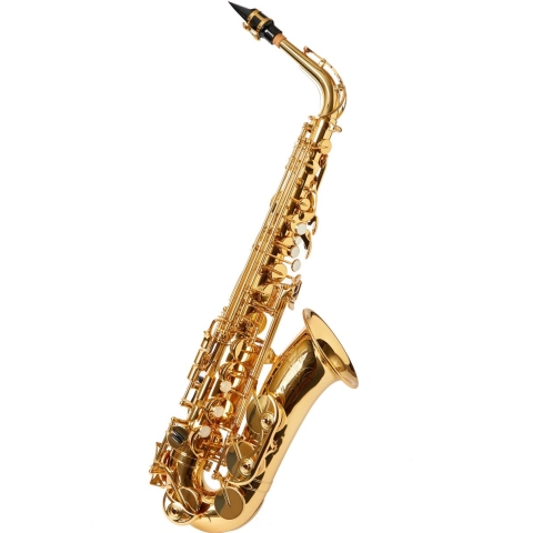 Yamaha PLUTUS YAS-PLU1 Altsaxophon, incl. Etui u. Zubehör