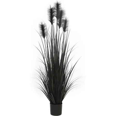 Federgras im Topf 153 cm schwarz