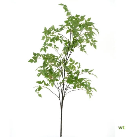 Birke grün 196 cm Kunstblume