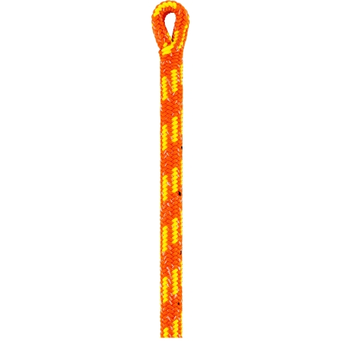 Petzl Baumkletterseil Control 12,5 mm