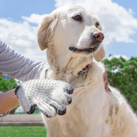 Haustierbürste & Massagehandschuh Relpet InnovaGoods